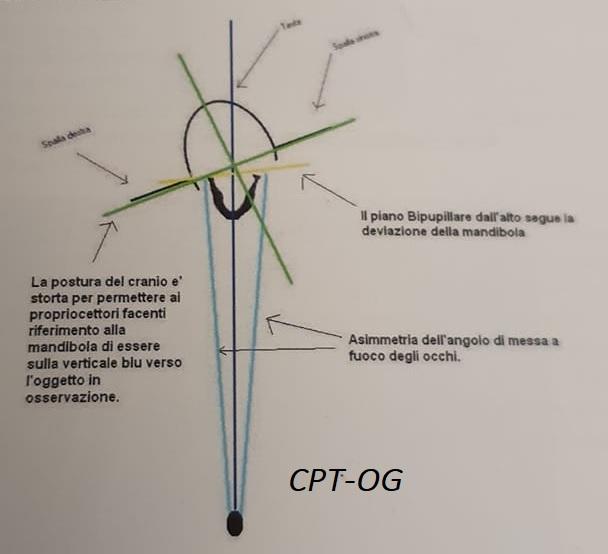 Le nostre tesi sono diventate di uso comune in diverse discipline