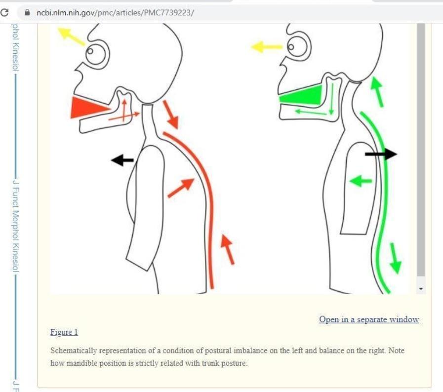 Postura, fitness, rimedi della nonna, benessere e salute. Facciamo il punto della situazione dopo anni di politica di istituzionalizzazione: