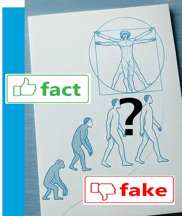 Il quesito dopo la scoperta del Meccanismo che Sostiene Corpo e Psiche: discendiamo davvero dalla scimmia o da un antenato comune o….?